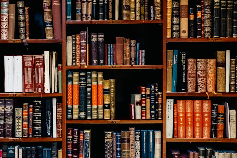 School library shelves